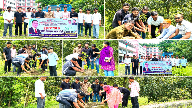 লামায় সরকারি মাতামুহুরী কলেজ ছাত্রদলের বৃক্ষরোপণ ও চারা বিতরণ