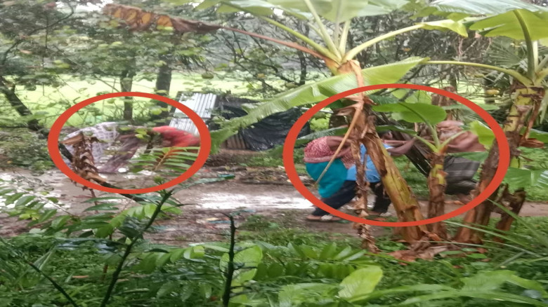লামায় অন্তঃসত্ত্বা নারীকে মারধরের অভিযোগ: ঘটনার নেপথ্যে জমি নিয়ে বিরোধ, দুই পক্ষের দুই দাবি